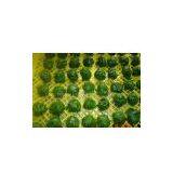 Frozen Spinach Ball thumbnail-1