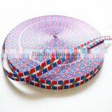 Customized Dog Collar and Leashes Webbing