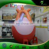 Large Inflatable Heart Organ Replica Balloon Artificial Custom Organ Model Inflatables PVC Advertising Toys Ball thumbnail-6