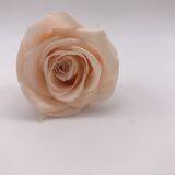 Preserved Flowers Wedding Bridal Bouquets Natural Eternal Roses thumbnail-1