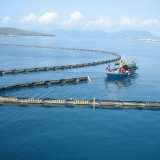 solid float rubber boom-1