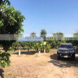 3LSC Deep Well 300m Head Impeller for Solar Panel 1500w Water Pump 60v thumbnail-4