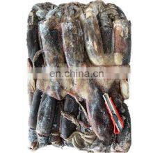 Dosidicus Gigas Peru Giant Squid Frozen Giant Squid Price Whole Round