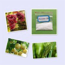 Agriculture Plant Growth Regulator Natural Pesticide Brassinolide 90%tc thumbnail-2