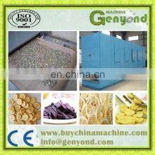 Tunnel Belt Dryer for Dehydrating Vegetable and Fruit thumbnail-2