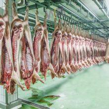 Hog Slaughter Line Pig Killing Machine Carcass Chilling Room For Slaughtering Equipment thumbnail-3