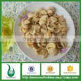 Premium Quality Canned Mushroom for Canned Food Markets in Spain thumbnail-1