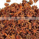 Autumn Star Anise