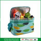 Picnic Bags for Pizza Picnic Chair Bag