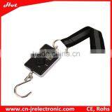 Weighing Scale for Fishman thumbnail-2