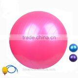 65cm Exercise Balls Exercise Equipment Exercise Ball Size