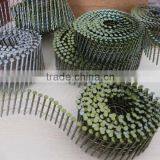 Common Nails / Roofing Nails / Coil Nail ( MANUFACTURER ) thumbnail-5