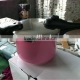 Pink stainless steel pressure cooker