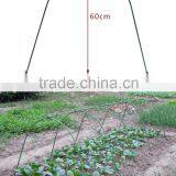 Poly Tunnel Greenhouse Framework thumbnail-1