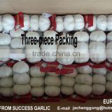 Shandong New Garlic Price of Sale thumbnail-5