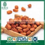 Container Home Direct Buy from China Siberian Open Pine Nuts in Shell