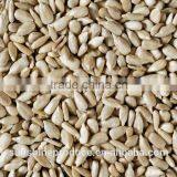 Organic SUNFLOWERS KERNELS/INSHELL, Confectionery/Bakery Grade thumbnail-4