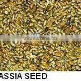 CASSIA SEEDS