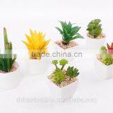 Fake Plant Succulent Plants With Plot thumbnail-4