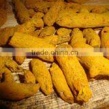 Dry Whole Turmeric Finger thumbnail-4