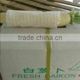 Fresh Chinese White Radish on Sale thumbnail-6