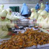 Instant Dried Sweet Potato Chips Potato Strip thumbnail-3