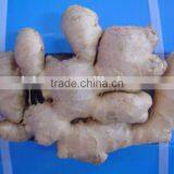 Fresh Dried Ginger thumbnail-2