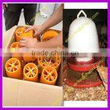 Low Price Retail Poultry Drinkers and Feeders 0086-15238020698