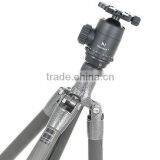 Best Selling Products Newest Gitzo Monopod Head / Monopod Gitzo Free Technical Support thumbnail-3