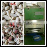 Belt Type Peanut Color Sorter for Sale 0086 371 65866393
