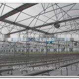 Venlo Polycarbonate Sheet Greenhouse for Sale thumbnail-1