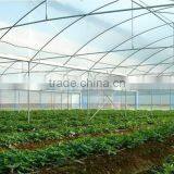 Low Cost Hydroponic Greenhouses System thumbnail-5