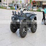 Quad Bike, 250cc Atv, Farm Atv (SHATV-016) thumbnail-2