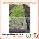 No Need Fertilizer Save Soil Green Planting Hydroponic Foam Odorless Growing Sponge thumbnail-5