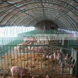 PE Greenhouse Film Garden Greenhouse pe Film Plastic thumbnail-1