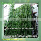 New Style Artificial Bamboo Plant/high Quality Evergreen Bamboo for Decoration thumbnail-1