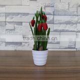 Table Artificial Mini Saussurea Flower Bonsai for Home and Commercial Decoration thumbnail-4
