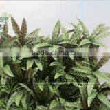 Artificial Green Wall ,artificial Fake Plant Wall Decoration thumbnail-4