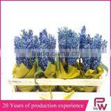 Novelties Goods From China Luxury Home Decor