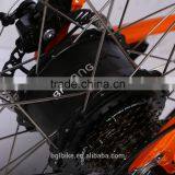 2016 Hot Selling High Speed the Lastest Model With Disc Brake OEM Package Ebike thumbnail-3