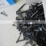 Blue Shoe Tacks Nails/Horse Tack Nails/Shoe Repair Materials From Guangzhou thumbnail-2