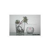Glass Vase thumbnail-1