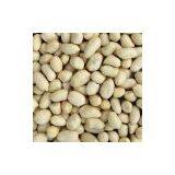 Blanched Kernels thumbnail-2