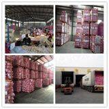 Pioneer Garlic Group company overview - view 3 thumbnail