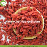 New Arrival Factory Supply Dried Goji Berry thumbnail-1