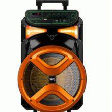 Colorful Checp LED Light Plastic Portable Speaker 12 Inch