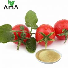 Amino Power Nitrogen Fertilizer Plant Based High Nitrogen Fertilizer for Turf, Vegetables, Fruits