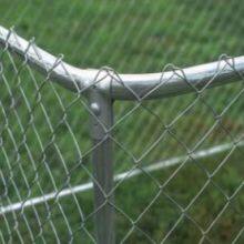 Dog Kennel thumbnail-3