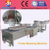 Competetive Price Air Bubble Cherry Tomoto Washing Machine by High Pressure/ Fruits Washer Price thumbnail-2