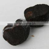 Fully Mature Fresh Wild Black Truffle Mushroom thumbnail-2